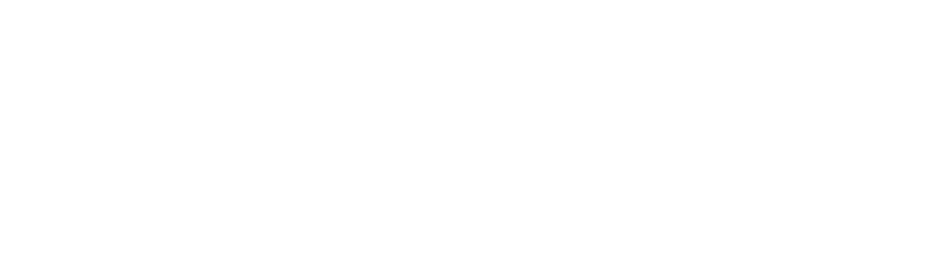 Tyche Biking Logo